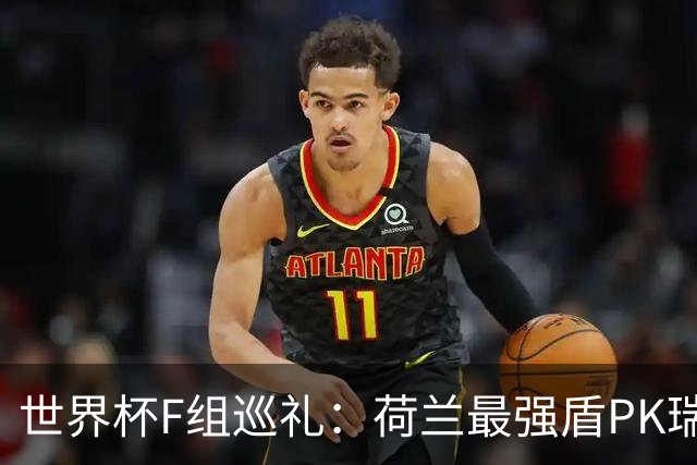 世界杯F组巡礼：荷兰最强盾PK瑞典犀利刀 日本短板明显